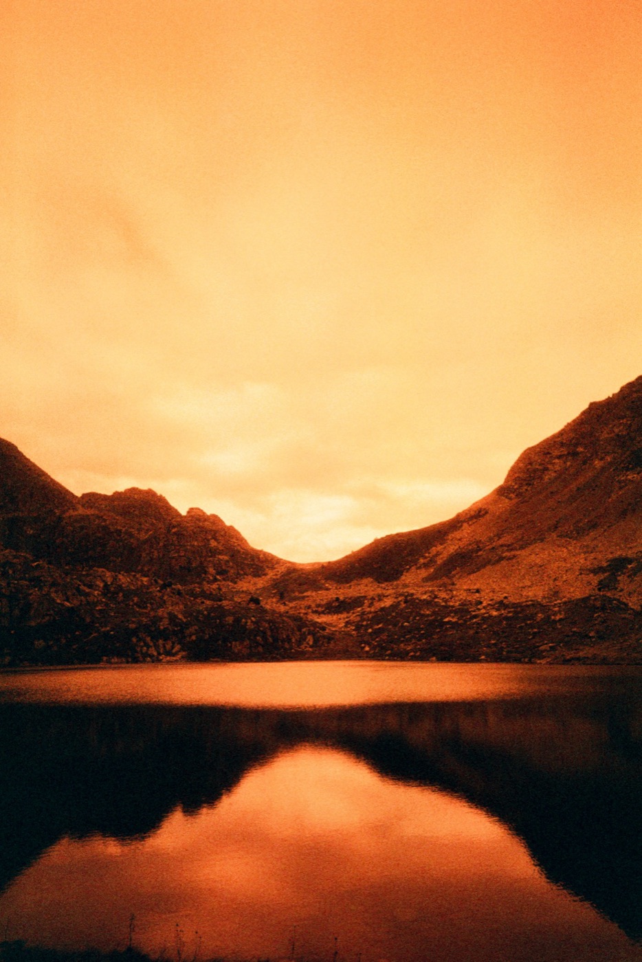 Refuge