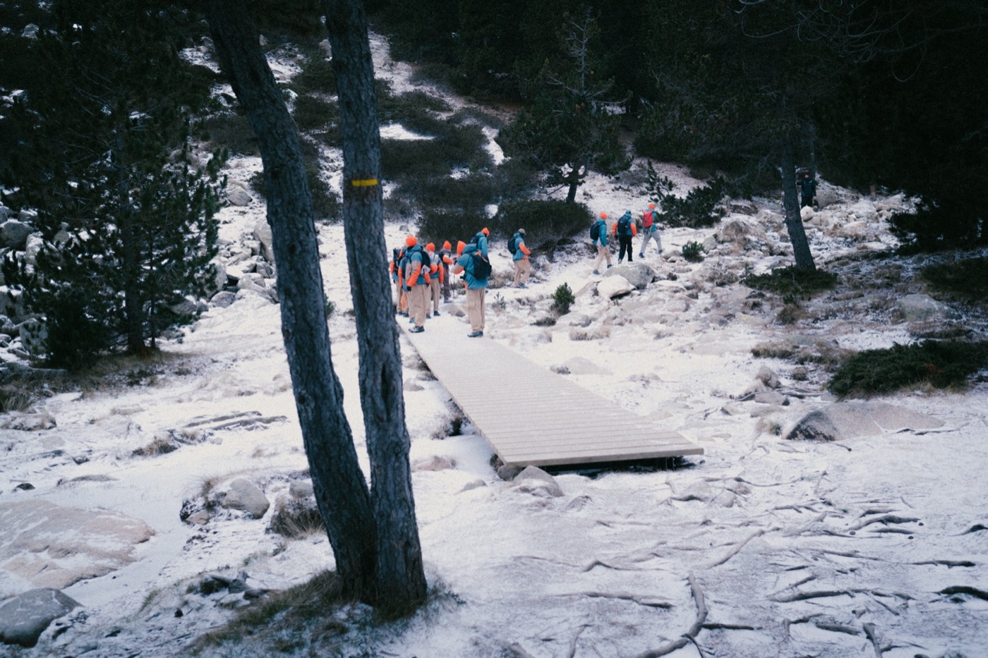 Terrex Camp