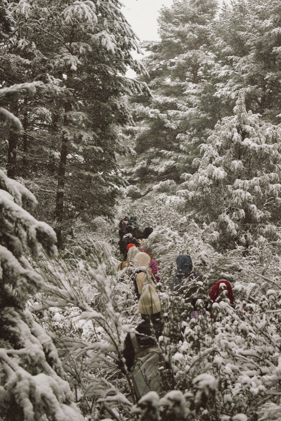 Winter Hike