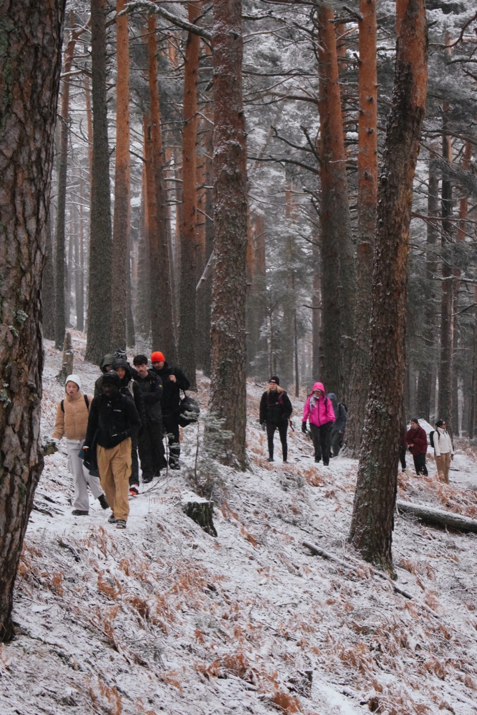 Winter Hike