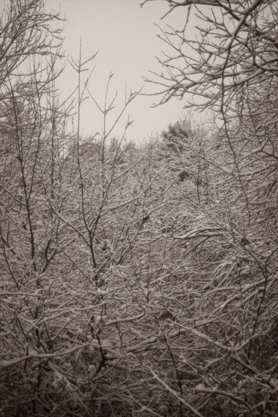 Winter Hike