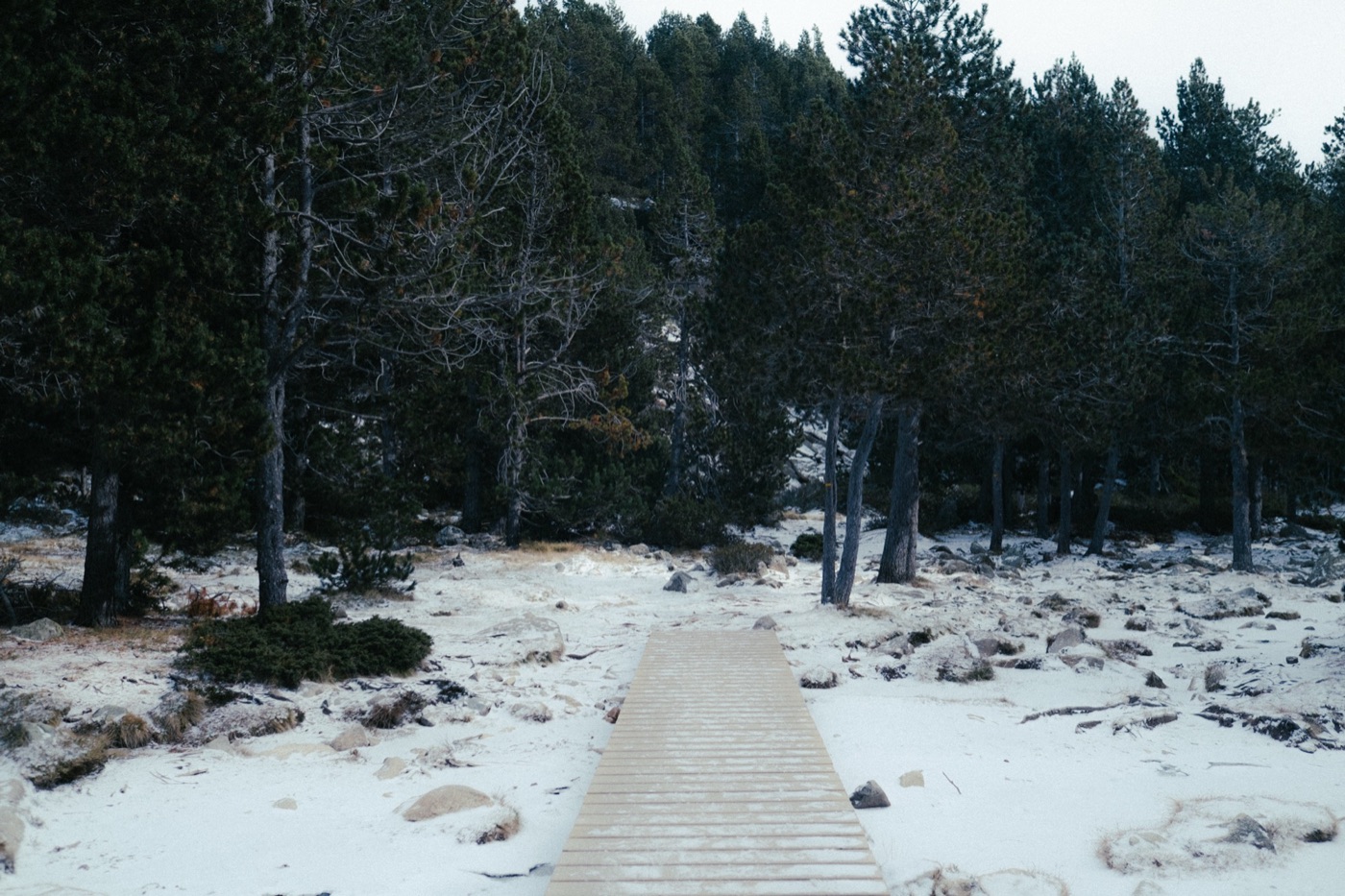 Terrex Camp — Hiking